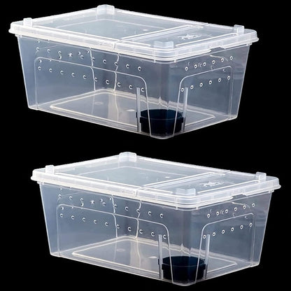 kathson 2PCS Reptile Feeding Box Portable Small Snake Terrarium Habitat Mini Pet Breeding Cage Hatching Container Transparent Gecko Houses for Small Frog Tarantula Spider Scorpion (White)
