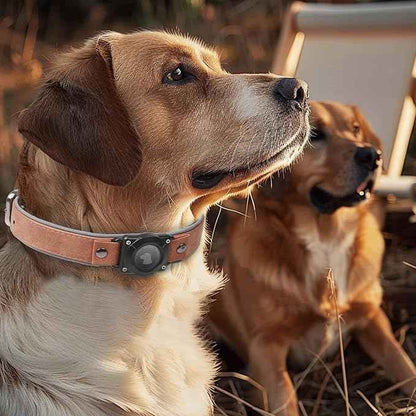 Leather AirTag Dog Collar, Waterproof Dog Collar with Air Tag Holder, Compatible with Apple Air Tag, Reflective, Durable, Comfortable Padded GPS Dogs Collars (MahoganyBrown, L)