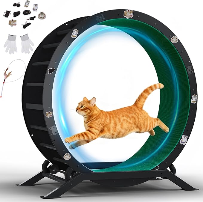 GTPLAYER Cat Wheels, Large Cat Exercise Wheel for Indoor Cats, 40"Diameter cat treadmill Detachable Carpet & Teaser, stickers, Ultra-quiet scroll wheel With latch, Suitable for Most Cats, Metal, Green