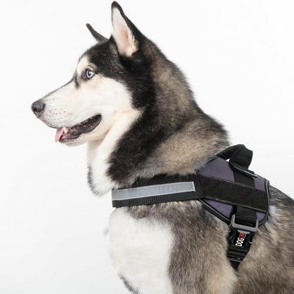 Dogline Dog Harness, Reflective No-Pull Adjustable Vest with Handle for Walking, Training, Service Breathable No - Choke Harness for Small, Medium or Large Dogs Room for Patches Grey XL 33"-46"