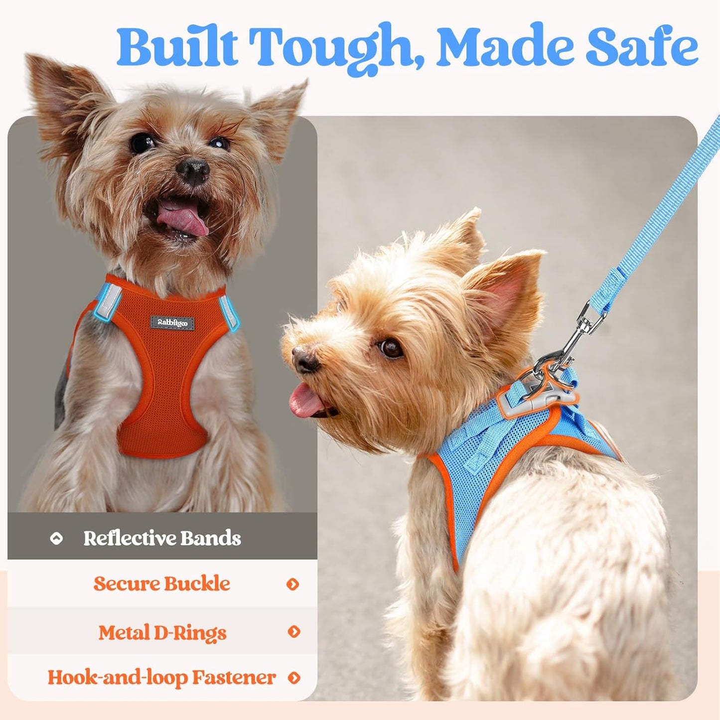 rabbitgoo Dog Harness Small Sized and Leash Set, Step in Soft Light Puppy Vest, Breathable Mesh Pet Harness, Reflective for Safe Easy Walking, Blue & Orange M