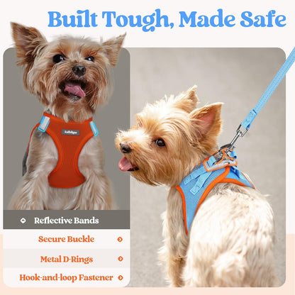 rabbitgoo Dog Harness Small Sized and Leash Set, Step in Soft Light Puppy Vest, Breathable Mesh Pet Harness, Reflective for Safe Easy Walking, Blue & Orange XS