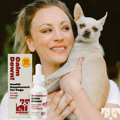 OH NORMAN! Calm Down! by Kaley Cuoco - All-Natural Calm Supplement for Dog Stress Relief - Vet Nutritionist Approved for All Life Stages and Breeds - 1 Fl Oz Calming Supplements for Dogs