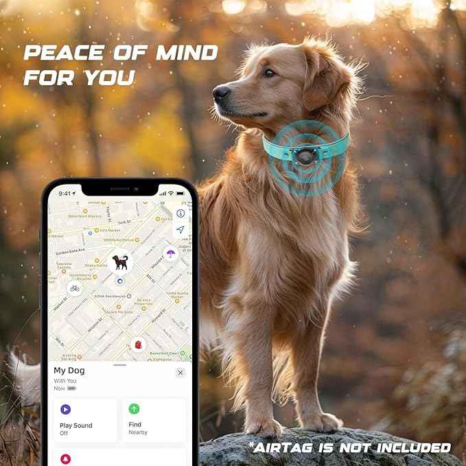 Leather AirTag Dog Collar, Waterproof Dog Collar with Air Tag Holder, Compatible with Apple Air Tag, Reflective, Durable, Comfortable Padded GPS Dogs Collars (Teal, M)