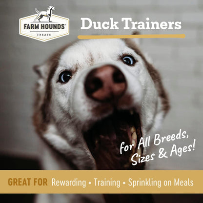 Farm Hounds - Duck Trainers - Premium Natural Jerky for Dogs - 100% Humanely Raised - Easy-Break - Great for Training & Treats - No Added Fillers - Made in USA - 4.5 oz - 1 Pack