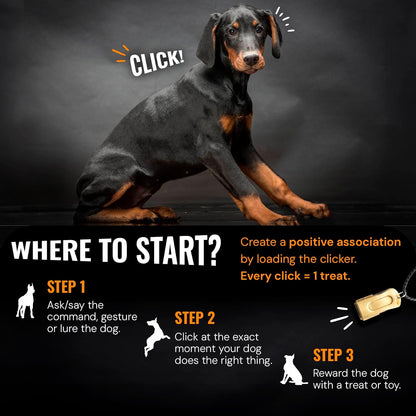 Gold Dog Clicker with Necklace - Clickers for Pet Training - Dog Training & Behavior Aids Easy to Carry with You Anywhere - Teach Your Dog Tricks or Reward His Behavior