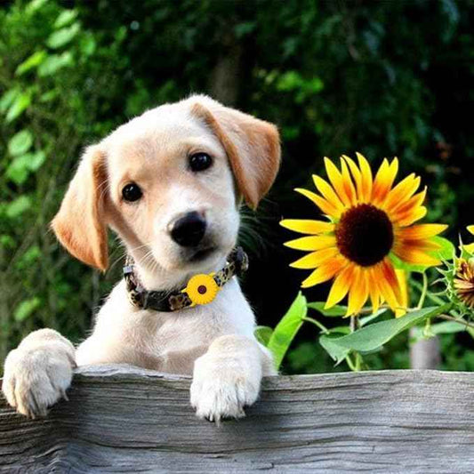2-Pack AirTag Cat Collar Holder for Apple AirTag 2021, Silicone Air Tag Protective Case for Puppy Dog Collar with Screen Protectors - Sunflowers, Mint Green & Yellow