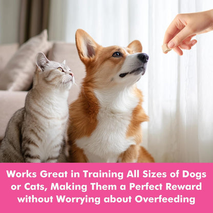 Freeze Dried Cats & Dogs Raw Treats, All Natural Single Ingredient Salmon, High Protein Healthy Pet Training Treats or Food Topper, 10.6 oz