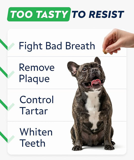 STRELLALAB Advanced Dog Dental Chews & Breath Freshener, Dog Teeth Cleaning, Bad Breath & Tartar and Plaque Off Remover for Dogs, Pet Oral Care, Pro Perio Support Lab Co Bright Formula - 90 Treats