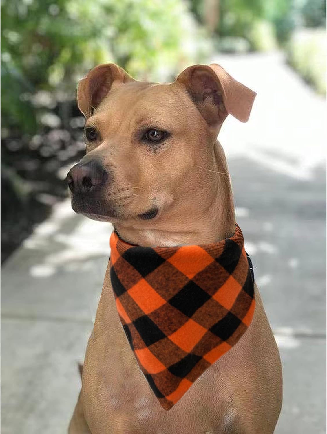 Realeaf Fall Halloween Dog Bandanas 2 Pack, Orange Plaid Pet Scarf for Boy and Girl, Premium Durable Fabric, Holiday Thanksgiving Bandana for Small and Medium Dogs (Small)