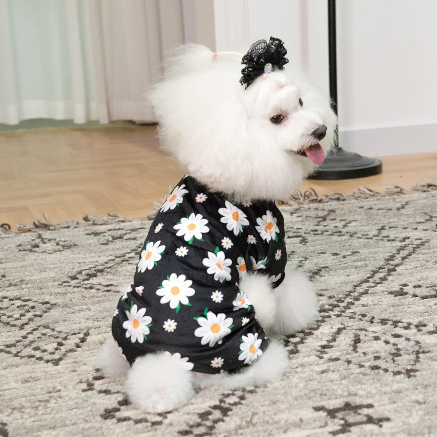 CuteBone Small Dogs Outfit Soft Puppy Onesies Pjs Dog Pajamas Pet Coat Cat Apparel Comfy Doggie Jumpsuit Bodysuit for All Seasons P221S