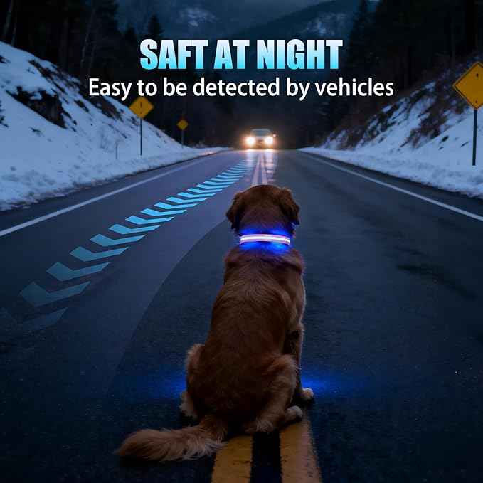 LED AirTag Dog Collar - Brightest Light Up Dog Collars - IP68 Waterproof Air Tag Dog Collar Holder - 1,600 Feet of High Visibility - Magnetic Charging - Dog Lights for Night Walking, Pink L