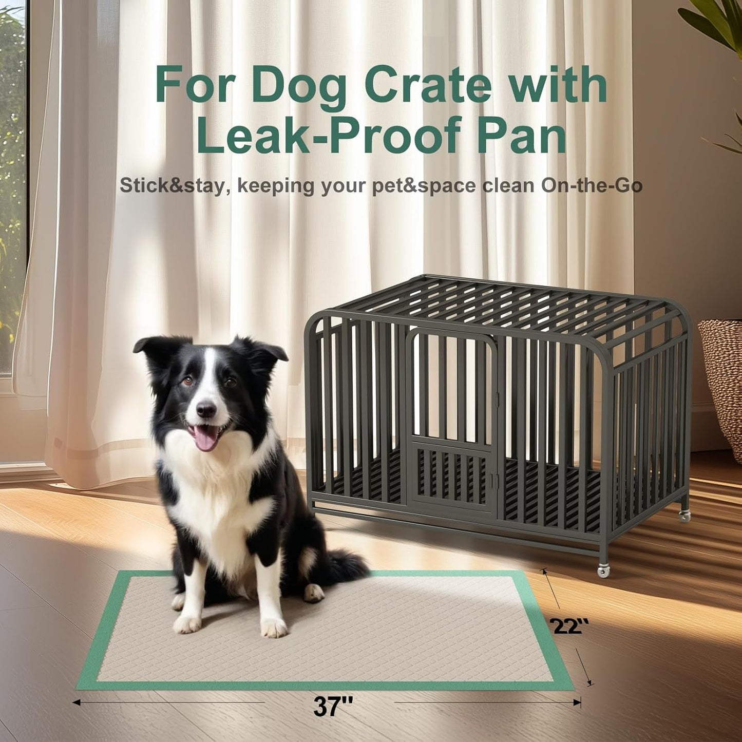 Gardner Pet Dog Pee Pads Extra Large 22"x37", 30 Count, Puppy Pee Pads with Adhesive Sticky Tape, Leak Prevention Disposable Training Bed Pads for Doggie, Cat, Rabbit, Suitable for Crate/Cage