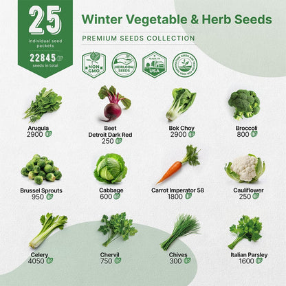 Organo Republic 25 Winter Vegetable & Herb Garden Seeds Variety Pack for Outdoors & Indoor Home Gardening 22,840+ Non-GMO Heirloom Seeds Broccoli Beet Carrot Cabbage Radish Pea Mint Thyme Parsley