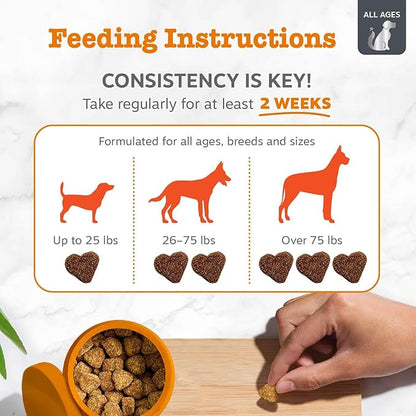 Zesty Paws Vet Strength Dog Allergy Relief Chews, Dog Probiotics for Itchy Skin and Ears, Smoked Cheese, 90ct