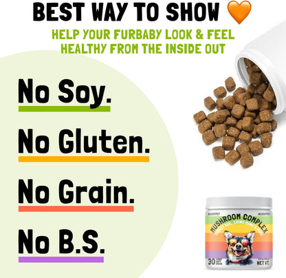 Mushroom Complex Treats for Dogs with Reishi, Shiitake, and Turkey Tail Mushrooms for Cognition and Immune Boosting Supports Digestive Health and Reduces Inflammation DHA EPA Turmeric Kelp 30 Chews