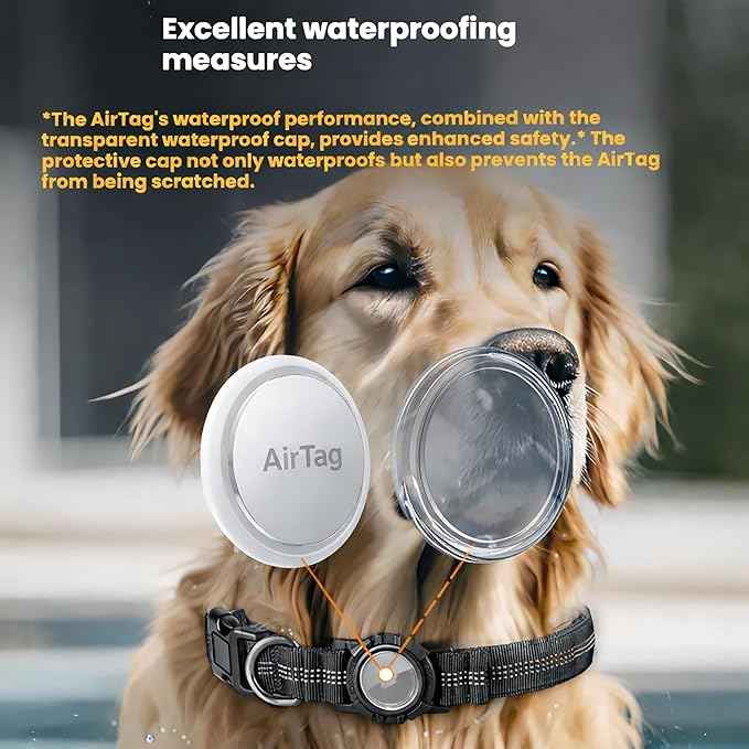 Personalized AirTag Dog Collar with Waterproof Holder, Custom Laser Engraved ID Buckle, Reflective Heavy Duty Nylon Pet Collar for Apple AirTag, Silent Name Plate (No Jingle) (CEM-AT-BK-M)