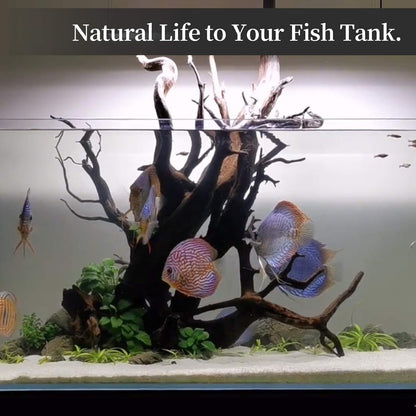 majoywoo Natural Large Driftwood for Aquarium Decor Reptile Decor, Fewer Branches 12.5-18" 2Pcs