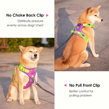 PHOEPET No Pull Dog Harness, Unique Colors Reflective Adjustable Dog Vest, with Soft Training Handle Metal Clips for Small Medium Large Dogs (Purple Base & Green Straps,M)
