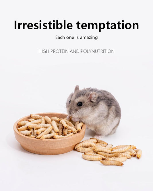 Niteangel Small Animal Snack & Treats - Small Critter Natural Treat for Dwarf Syrian Hamsters Gerbils Mice Sugar Glider Hedgehogs Chickens Birds (Freeze-Dried Worms- 0.9oz (25g))