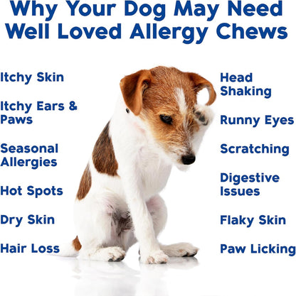 Dog Allergy Chews - Dog Allergy Relief, Itching Skin Relief, Hot Spot Treatment & Seasonal Allergies, Vet Developed, Anti Itch Skin Irritation Treatment, Made in USA, 120 Chews