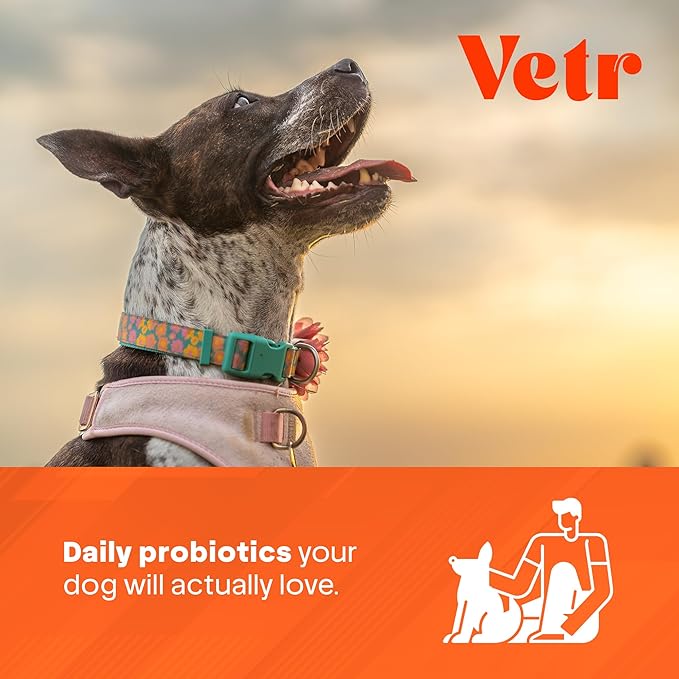 Vetr Probiotic Chews for Dogs - Chicken Flavored - Probiotics for Digestive Health - 120 Soft Chews - Vet-Formulated in USA