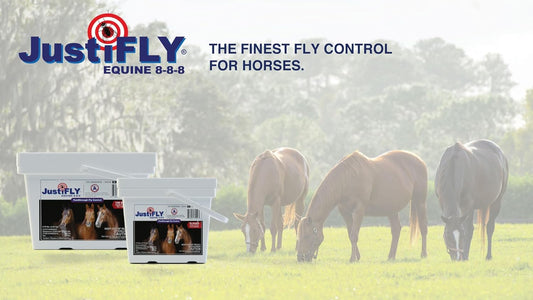 Equine 8-8-8 Fly Control for Horses (10 lb)