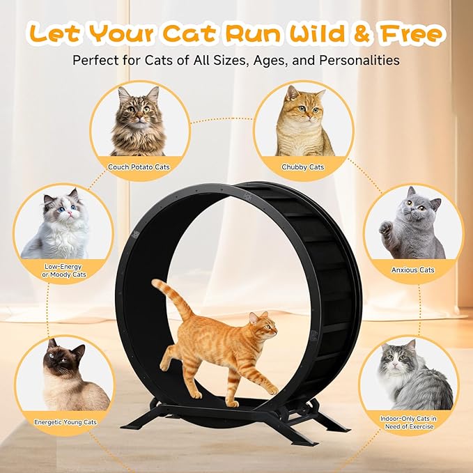 GTPLAYER Cat Wheels, Large Cat Exercise Wheel for Indoor Cats, 40"Diameter cat treadmill Detachable Carpet & Teaser, stickers, Ultra-quiet scroll wheel With latch, Suitable for Most Cats, Metal, Black