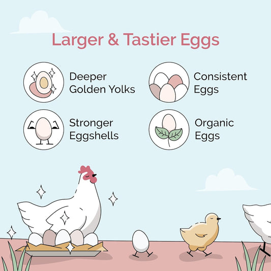 Organic Chicken Feed – Layer Mash, Non-GMO, USA Grown, 16% Protein, Corn-Free, Soy-Free, Non-Medicated Feed for Chickens, 23 lbs