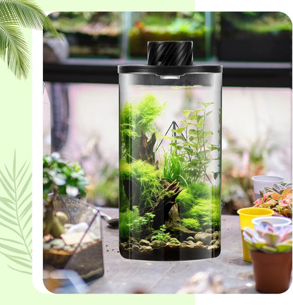 Maxdot Glass Plant Terrarium Kit with Light for Succulent, Moss, Miniature Gardening Landscape, Betta Fish Tank, Office Home Decoration, Plant Lovers Gifts (7.9 x 3.9 Inch)