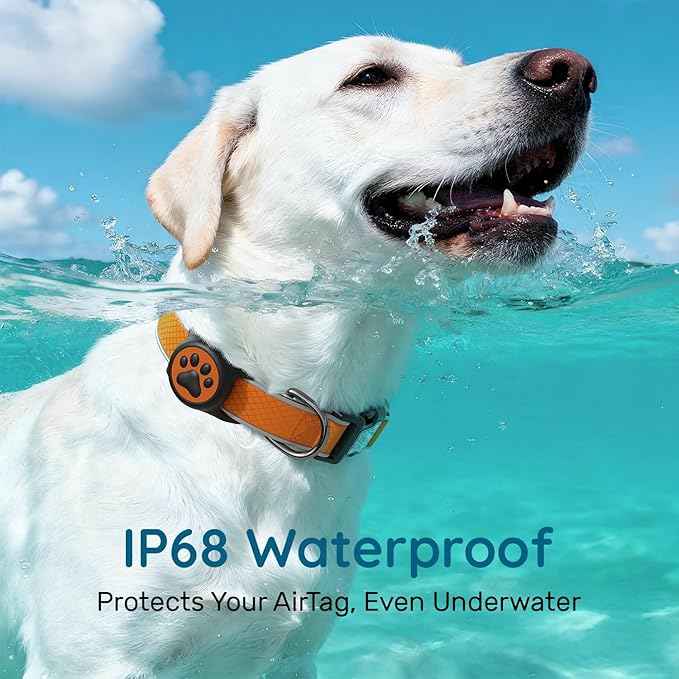 Reflective Dog Collar with Waterproof tag Holder & Anti-Lost QR Code | Ultra-Durable | Soft Padded | Safety Locking Buckle | Fit Large Dogs (Orange L(15.7"-23.6"))