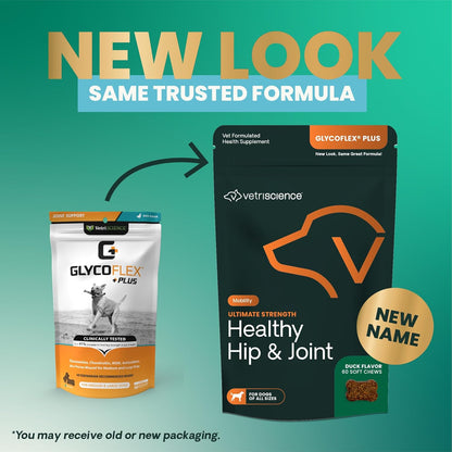 VetriScience Ultimate Strength Healthy Hip & Joint Chews, GlycoFlex Glucosamine, Chondroitin and Green-Lipped Mussel Joint Support Supplement for Dogs, Soothe Joint Discomfort, Duck, 60 Count