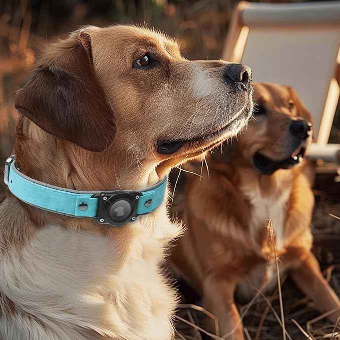 Leather AirTag Dog Collar, Waterproof Dog Collar with Air Tag Holder, Compatible with Apple Air Tag, Reflective, Durable, Comfortable Padded GPS Dogs Collars (Light Blue, L)