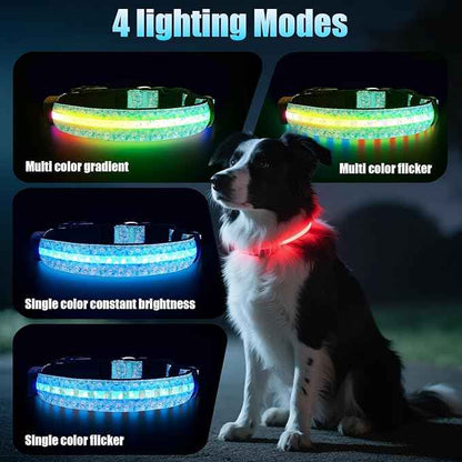 LED AirTag Dog Collar - Brightest Light Up Dog Collars - IP68 Waterproof Air Tag Dog Collar Holder - 1,600 Feet of High Visibility - Magnetic Charging - Dog Lights for Night Walking (Daisy, M)