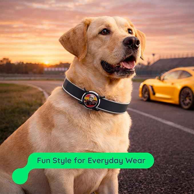 Dog AirTag Holder for Dog Collar, Soft Silicone Slide-On Case for Apple AirTag, No-Dangle Quiet Protective Holder with Eye-Catching Pet Character Designs, Black-Racecar Driver