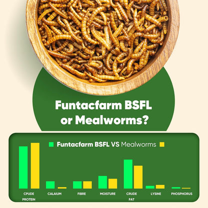 2LB Dried Black Soldier Fly Larvae for Chicken, Dried Mealworms Premium Grade High Protein Chicken Treat for Laying Hens, Wild Birds, Fish, Turtles and Lizard