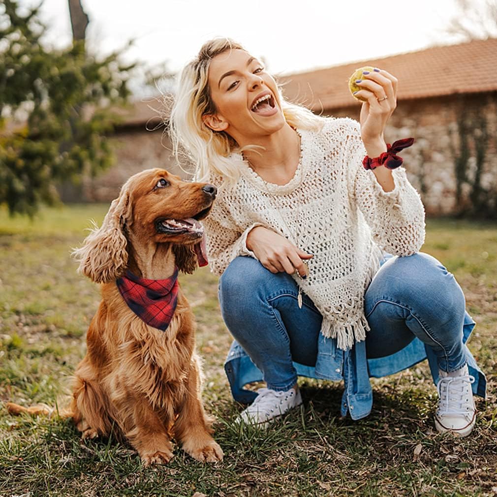 E-Clover Plaid Dog Kerchief Bandana Triangle Scarf Bibs for Small Dog Puppy Boy Pet Owner Mom Gifts Red