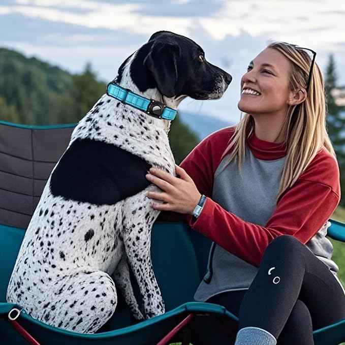 Airtag Dog Collar with Martingale Design, IP68 Waterproof Air Tag Collar Holder, Adjustable Reflective Soft Padded Nylon Dog Collar for Large Medium Small Dogs