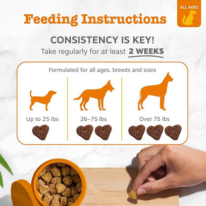 Zesty Paws Dog Allergy Relief Chews, Dog Probiotics for Itchy Skin and Ears, Salmon, 90ct (Pack of 2)