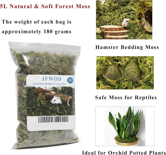 5L Forest Moss for Hamster Syrian Gerbils Bedding, Natural Moss Perfect for Potted Plants, Terrariums, Reptile Tanks and Live Creature Projects