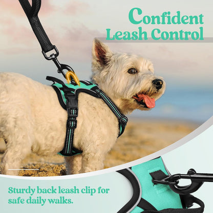 rabbitgoo Dog Harness No Pull with 2 Leash Clips, Adjustable Soft Padded, Reflective Oxford No Choke Pet Vest with Easy Control Handle for Puppy, Turquoise, XS