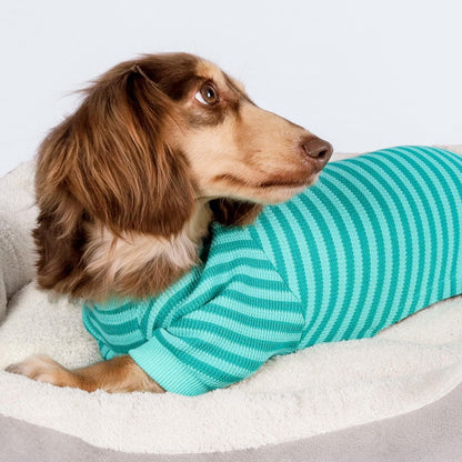 Fitwarm Green and Teal Striped Dog Pajamas, Waffle Dog Clothes for Small Dogs Girl Boy, Puppy Onesie with Feet, Pet Cat Outfit, XL
