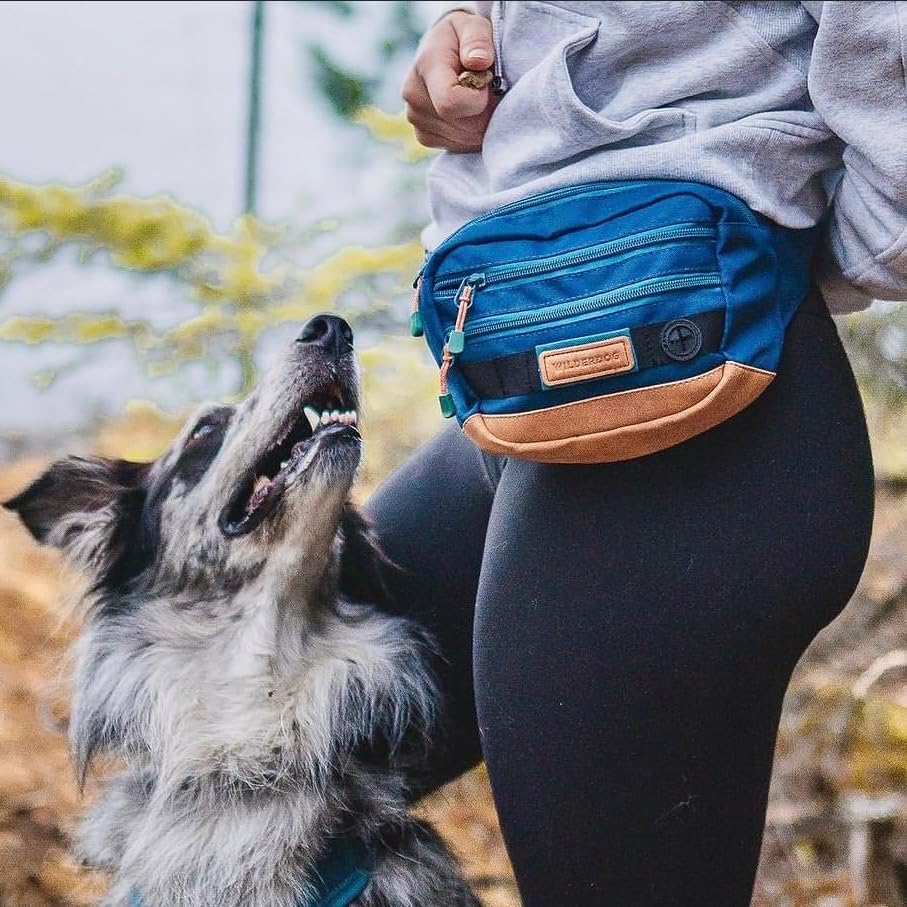 Wilderdog Utility Fanny Pack stores Treats, Balls, Keys in 3 Pockets with adjustable strap and Poop Bag dispenser (Pacific Blue) - Pawvie
