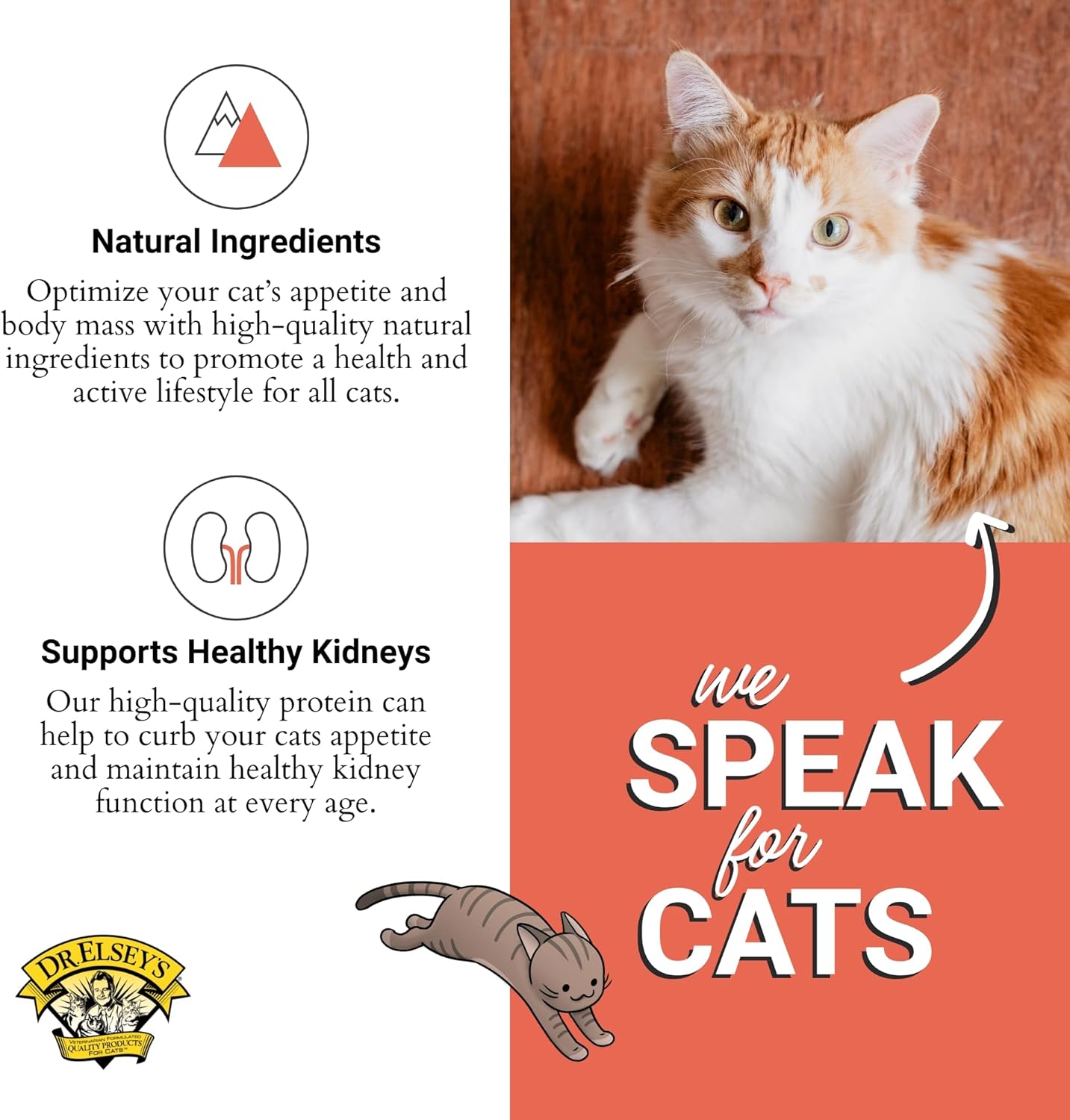 Dr. Elsey's Cleanprotein Salmon Formula Dry Cat Food, 6.6 Lb