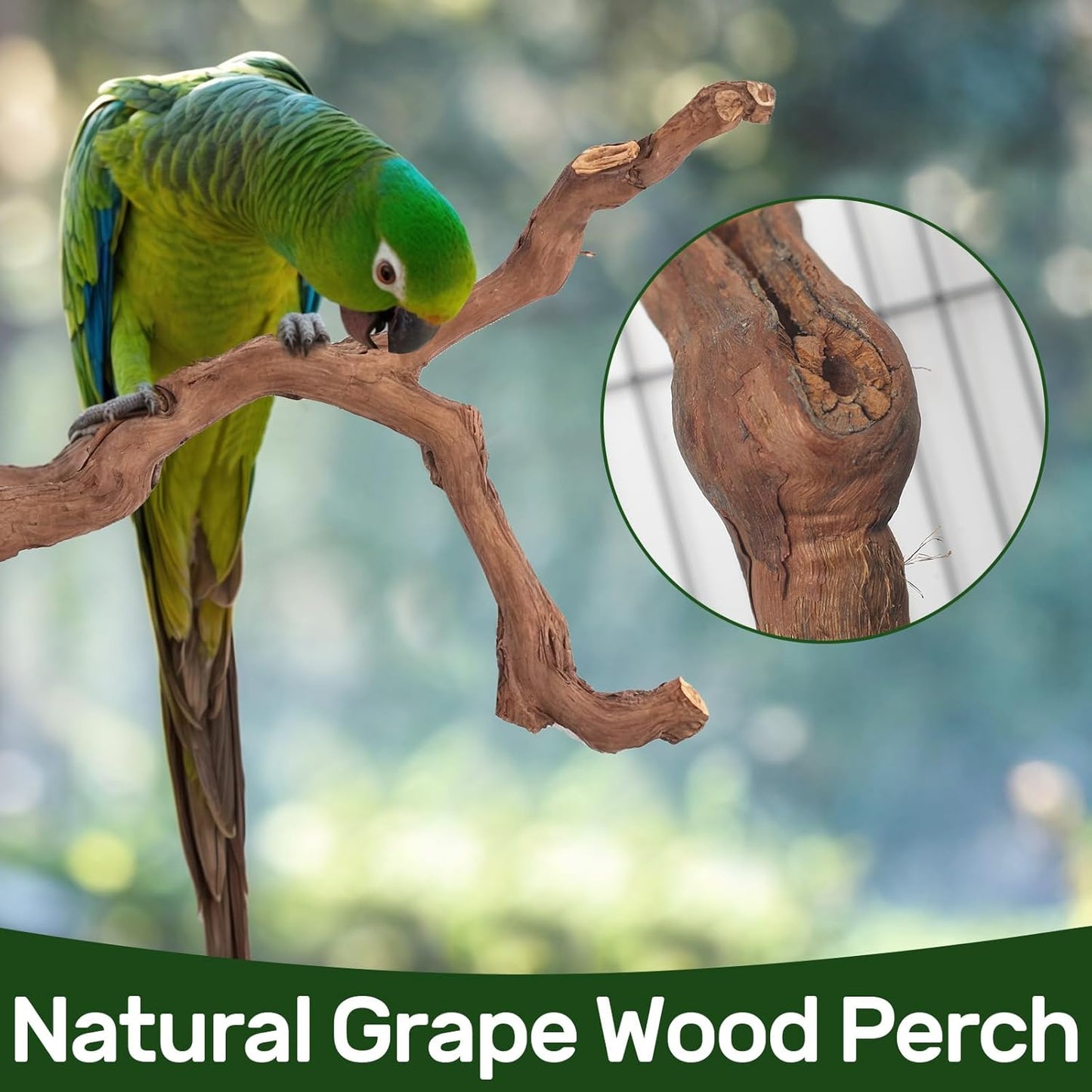 3-Piece Premium Bird Perch Stand with Natural Grape Wood Branch, Paw Grinding Fork, Chewing Stick, Cage Accessories for Parakeets, Budgies, Cockatiels, Finches, Lovebirds