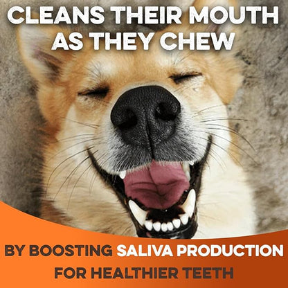 BRUTUS & BARNABY Beef Collagen Sticks for Dogs-Great Long Lasting Chew for All Dog Breeds-Odor Free, With Naturally Occurring Glucosamine & Chondroitin for Joint Health-Great for Any Dog Size(5 Count)