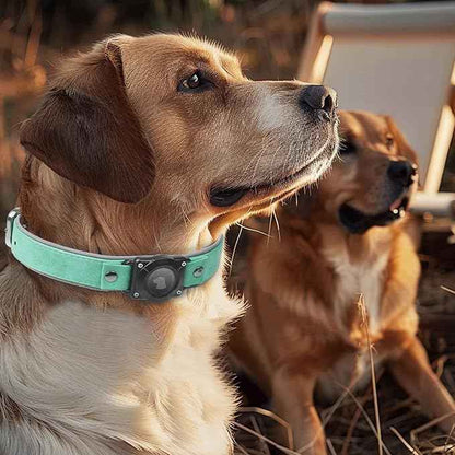 Leather AirTag Dog Collar, Waterproof Dog Collar with Air Tag Holder, Compatible with Apple Air Tag, Reflective, Durable, Comfortable Padded GPS Dogs Collars (Teal, L)