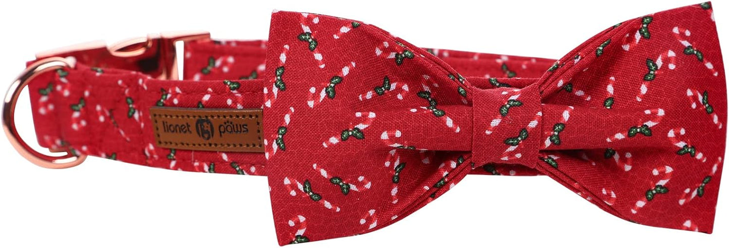 Lionet Paws Dog Collar with Bowtie, Medium, Candy Cane, Cotton, Detachable Bowtie, Unique Stylish Patterns, For Dogs, Adult, Medium Breed
