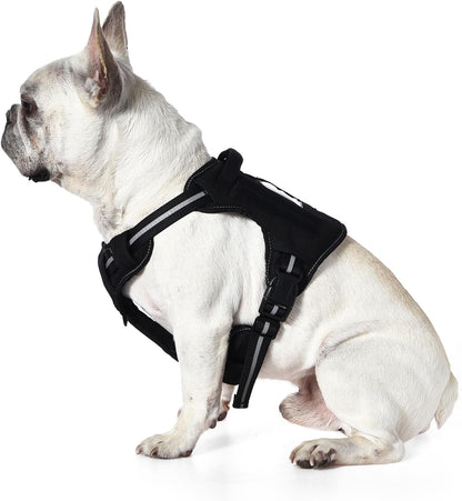 Amazon Basics No Pull Dog Harness, Adjustable Front Clip, Tactical Vest, Medium, Black