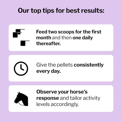 Formula 707 Joint 6in1 Equine Supplement 10 lb Bag – Support for Joint Integrity and Inflammatory Response in Horses – Green-Lipped Mussel, MSM, Glucosamine, Chondroitin & Collagen